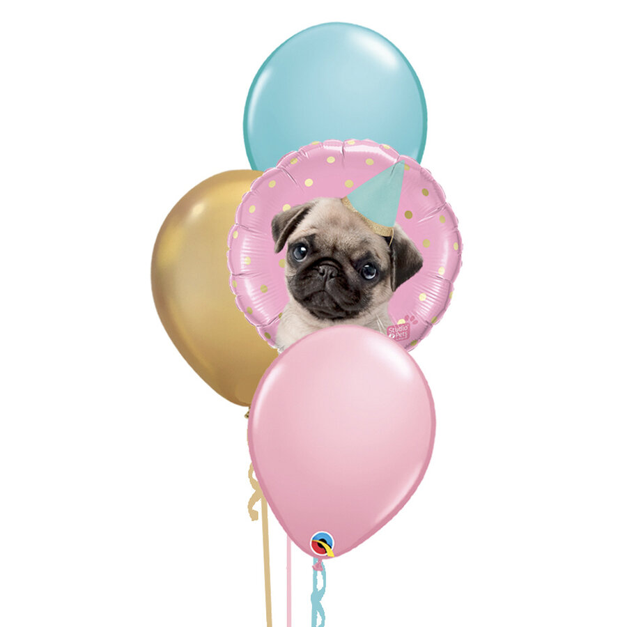 Party Pug Set-1