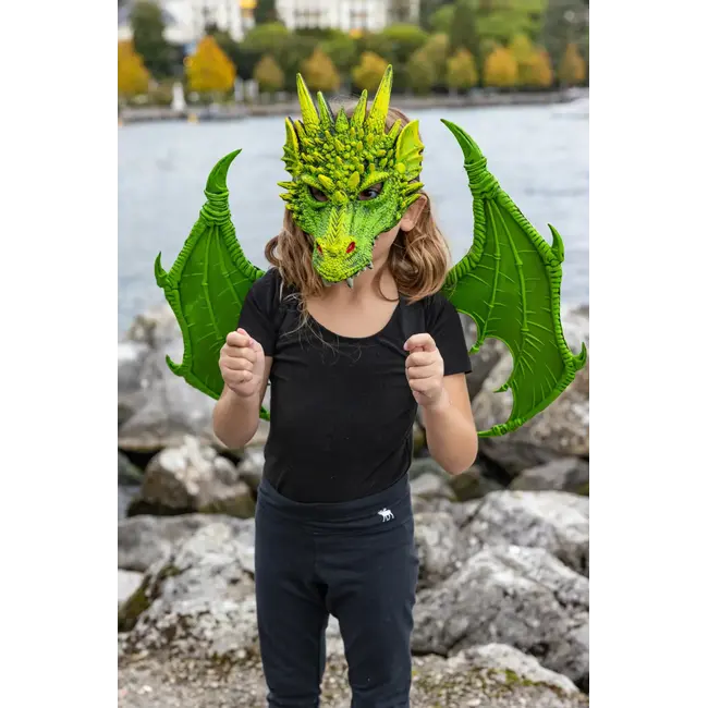 Groene Draken Vleugels