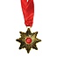 Espa Vampier Ketting Gouden Ster Robijn