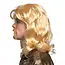 Pruik Barry met Snor - Blond