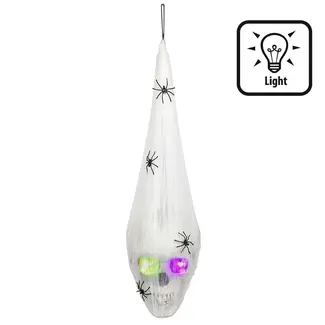Boland Led-Spinnenweb met Schedel - 20 x 15 cm