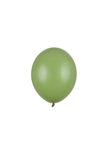 10 Ballonnen Pastel Rosemary Green - 27 cm 