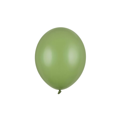 10 Ballonnen Pastel Rosemary Green - 27 cm 