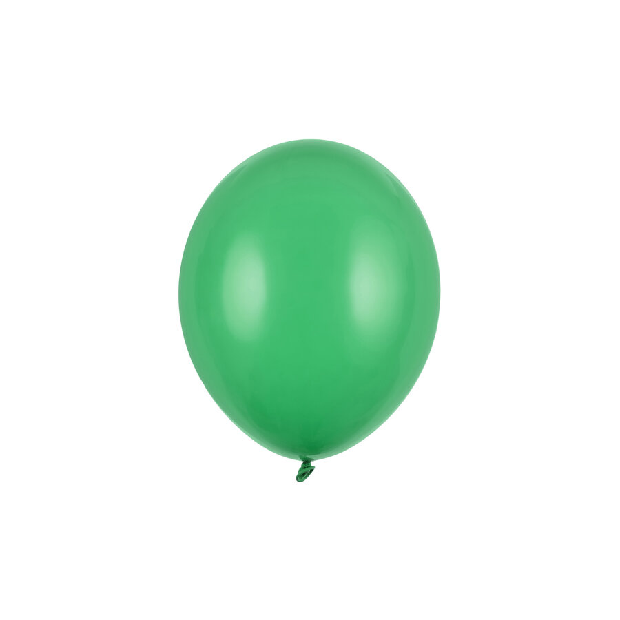 100 Ballonnen Pastel Emerald Green - 27 cm-1