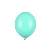 100 Ballonnen Pastel Light Mint - 27 cm