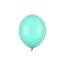 Ballonnen Pastel Licht Mint