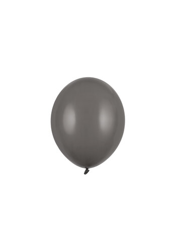 10 Ballonnen Pastel Grey - 27 cm 