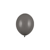 Strong Balloons 100 Ballonnen Pastel Grey - 12 cm