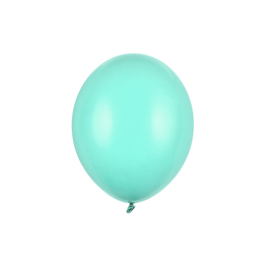 10 Ballonnen Pastel Light Mint - 27 cm-1