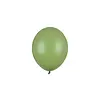 Strong Balloons 100 Ballonnen Pastel Rosemary Green - 12 cm