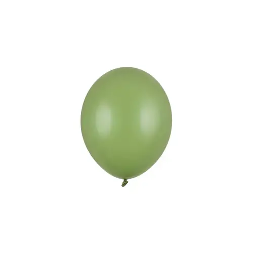 100 Ballonnen Pastel Rosemary Green - 12 cm 