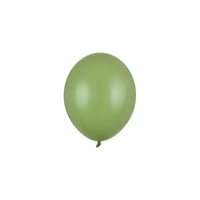 100 Ballonnen Pastel Rosemary Green - 12 cm