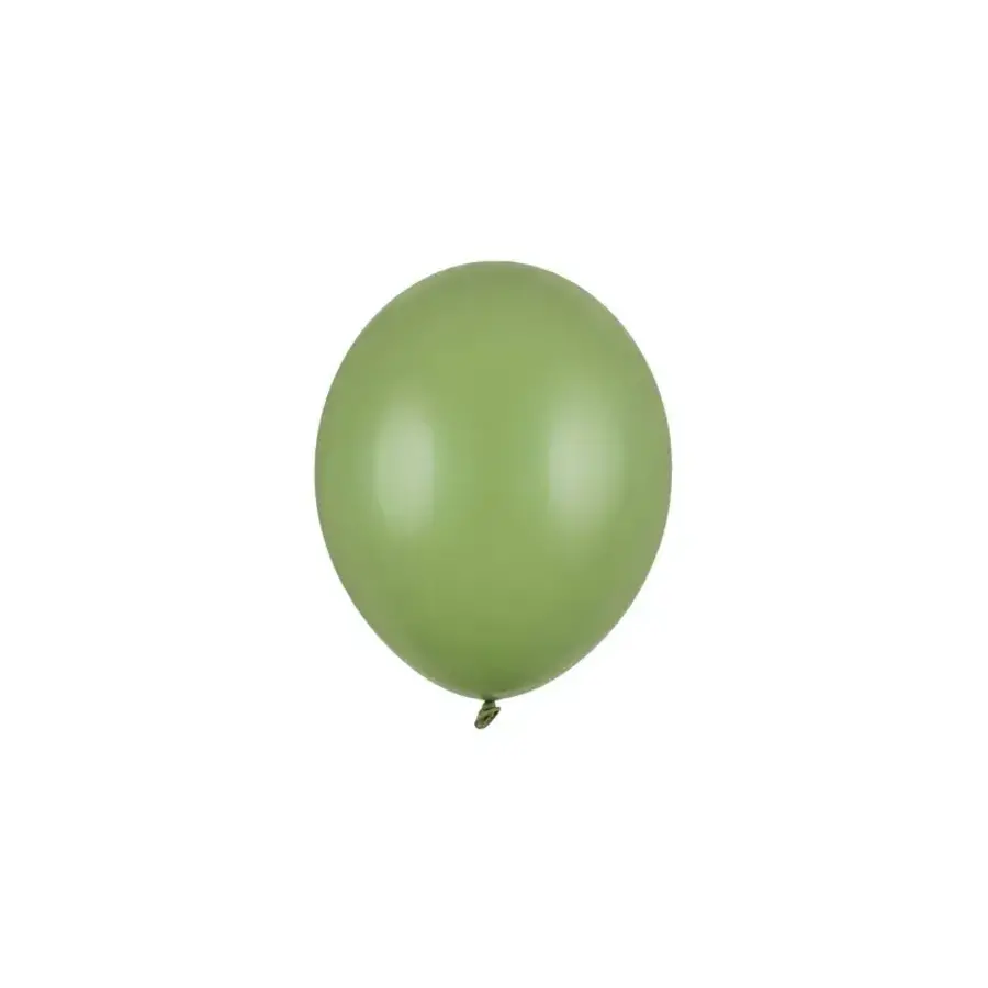 100 Ballonnen Pastel Rosemary Green - 12 cm-1