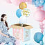 PartyDeco Gender Reveal Doos met Ballonnen
