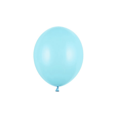 100 Ballonnen Pastel Light Blue - 27 cm 