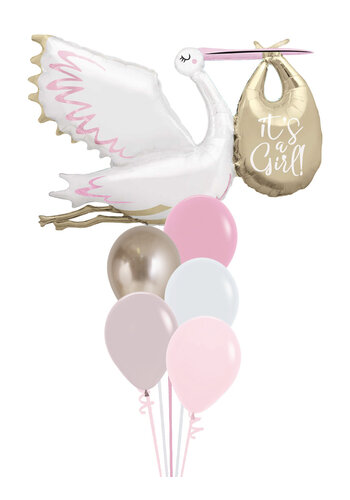 Baby Stork Pastel Pink Set 