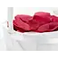 Wedding Basket for rose petals