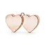 Ballon gewichtje Hart - 137 gram Rosé Gold
