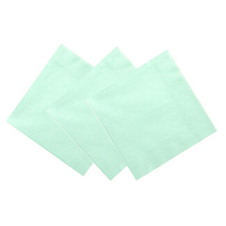 PartyDeco Servetten - Mint Groen