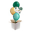 Mama Ballonnen Set