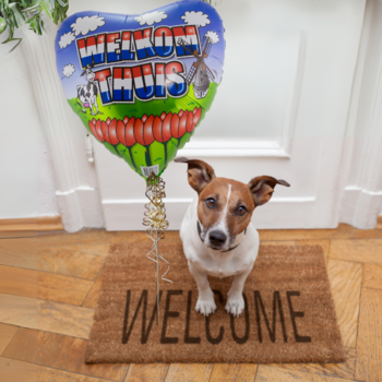 Welkom Thuis Ballonnen