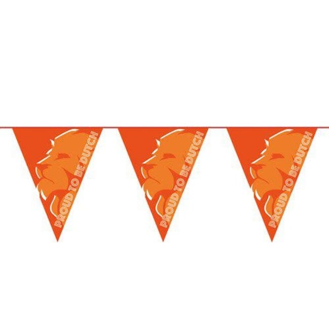 Vlaggenlijn Oranje Leeuw ’Proud to be Dutch’  - 6 mtr