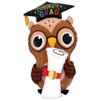 Grabo Folieballon - Grad Owl Diploma