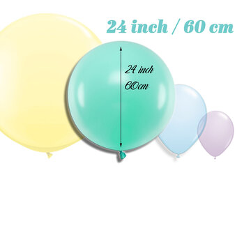 24 inch (61cm) Ballonnen