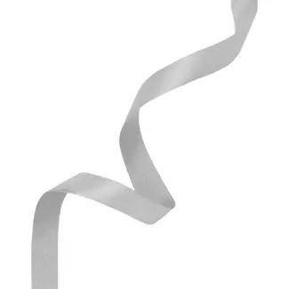 PartyPal Satijn Lint Zilver - 6 mm x 23 mtr