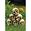 Palmer Skull Pyramid Yard Décor