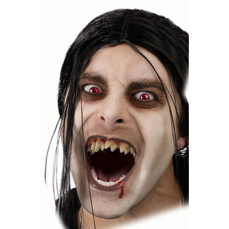 Palmer FX Double Fang Denture