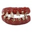 Guirca Terror Teeth