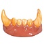 Wolf Teeth