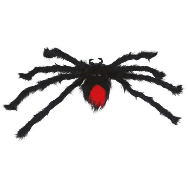 Zwarte Harige Spin - 60cm