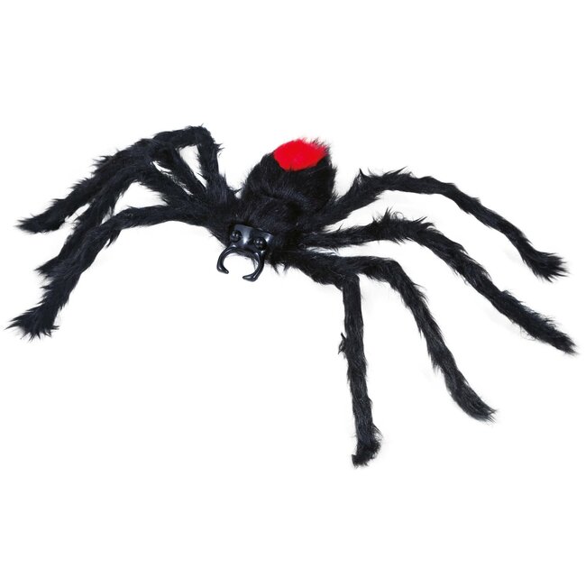 Zwarte Harige Spin - 60cm