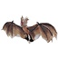 Vleermuis - 60 cm