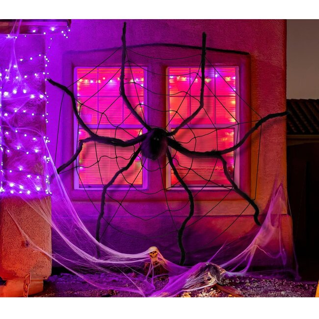 Giant Spiderweb & Spider - 200 & 150 cm