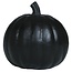 Zwart Pompoen met Licht - 20 cm