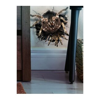 Guirca Deco Wall Sticker Spider Hole - 16x16 cm