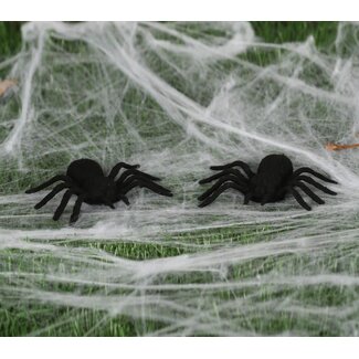 Guirca Set 2 Spinnen - 10cm