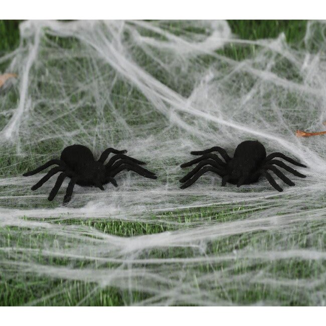 Set 2 Spinnen - 10cm
