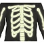 Skeleton Glow in the Dark
