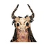 Guirca Half Masker Ram Schedel