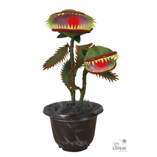 P'tit Clown Animated Carnivorous Plant - 36 cm