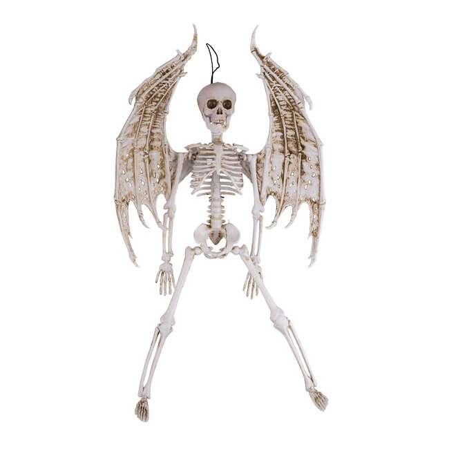 Angel Skeleton - 25 x 5 x 46 cm