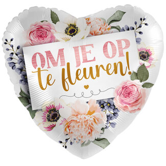 Everloon Folieballon Om je op te fleuren!
