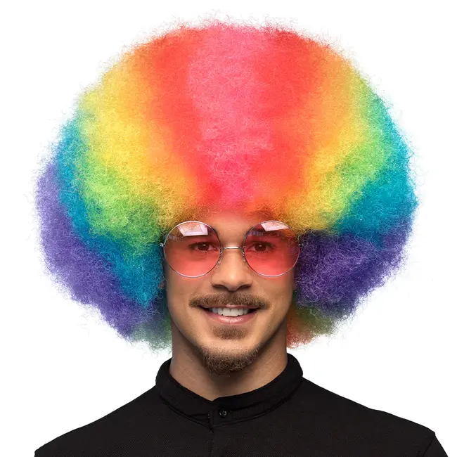 Pruik Clown Rainbow Deluxe