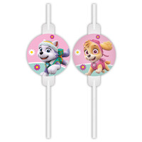 Paw Patrol Paw Patrol Skye And Everest Uitnodigingen - 6 stuks