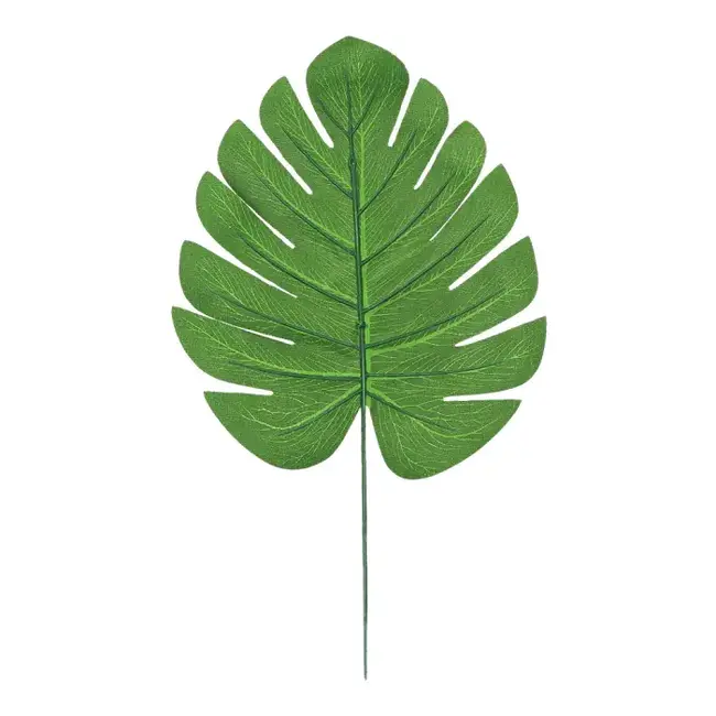 Palmbladeren Exotic - 4 stuks - 17 x 33 cm