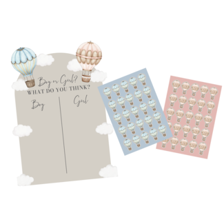 Haza-Witbaard Gender Reveal - Stembord Baby Balloons